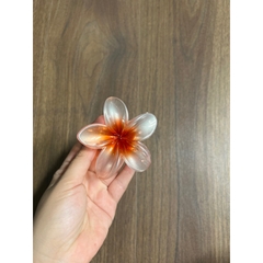 Kẹp Tóc Hoa Sứ 8cm Nhiều Màu Sắc Thích Hợp Đễ Đi Biển