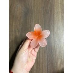 Kẹp Tóc Hoa Sứ 8cm Nhiều Màu Sắc Thích Hợp Đễ Đi Biển