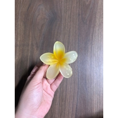 Kẹp Tóc Hoa Sứ 8cm Kẹp Tóc Càng Cua Kẹp Tóc Đi Biển Nhiều Màu Sắc Rực Rỡ Dành Cho Bạn Gái