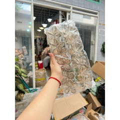 Kẹp Tóc Hoa Sứ 8cm Nhiều Màu Sắc Thích Hợp Đễ Đi Biển