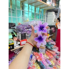 Kẹp Tóc Hoa Sứ 8cm Nhiều Màu Sắc Thích Hợp Đễ Đi Biển