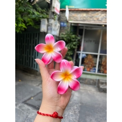Kẹp Tóc Hoa Sứ 8cm Kẹp Tóc Càng Cua Kẹp Tóc Đi Biển Nhiều Màu Sắc Rực Rỡ Dành Cho Bạn Gái