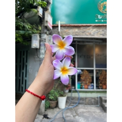 Kẹp Tóc Hoa Sứ 8cm Kẹp Tóc Càng Cua Kẹp Tóc Đi Biển Nhiều Màu Sắc Rực Rỡ Dành Cho Bạn Gái