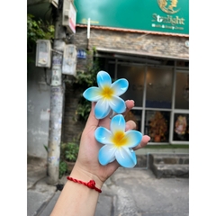 Kẹp Tóc Hoa Sứ 8cm Kẹp Tóc Càng Cua Kẹp Tóc Đi Biển Nhiều Màu Sắc Rực Rỡ Dành Cho Bạn Gái