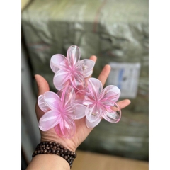 Kẹp Tóc Hoa Sứ 8cm Kẹp Tóc Càng Cua Kẹp Tóc Đi Biển Nhiều Màu Sắc Rực Rỡ Dành Cho Bạn Gái