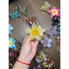 Kẹp Tóc Hoa Sứ 8cm Kẹp Tóc Càng Cua Kẹp Tóc Đi Biển Nhiều Màu Sắc Rực Rỡ Dành Cho Bạn Gái