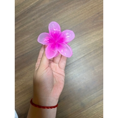 Kẹp Tóc Hoa Sứ 8cm Kẹp Tóc Càng Cua Kẹp Tóc Đi Biển Nhiều Màu Sắc Rực Rỡ Dành Cho Bạn Gái