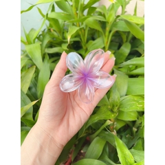 Kẹp Tóc Hoa Sứ 8cm Kẹp Tóc Càng Cua Kẹp Tóc Đi Biển Nhiều Màu Sắc Rực Rỡ Dành Cho Bạn Gái