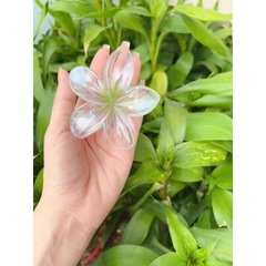 Kẹp Tóc Hoa Sứ 8cm Kẹp Tóc Càng Cua Kẹp Tóc Đi Biển Nhiều Màu Sắc Rực Rỡ Dành Cho Bạn Gái