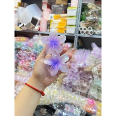 Kẹp Tóc Hoa Sứ 8cm Kẹp Tóc Càng Cua Kẹp Tóc Đi Biển Nhiều Màu Sắc Rực Rỡ Dành Cho Bạn Gái