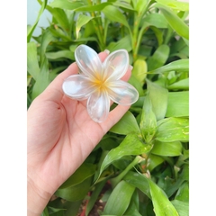 Kẹp Tóc Hoa Sứ 8cm Kẹp Tóc Càng Cua Kẹp Tóc Đi Biển Nhiều Màu Sắc Rực Rỡ Dành Cho Bạn Gái