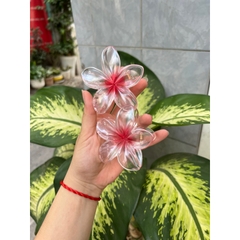 Kẹp Tóc Hoa Sứ 8cm Kẹp Tóc Càng Cua Kẹp Tóc Đi Biển Nhiều Màu Sắc Rực Rỡ Dành Cho Bạn Gái