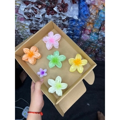 ( Mua 5 Tặng 1 ) Set Quà Tặng Kẹp Hoa Sứ Thích Hợp Làm Quà Tặng Sinh Nhật, Dịp Lễ