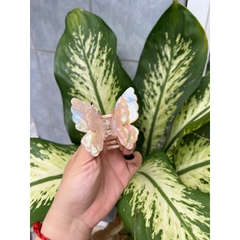 Kẹp Tóc Hình Bướm Xà Cừ 2 Lớp - Kẹp Bướm Đổi màu Sang Trọng Dành Cho Nữ Thích Hợp Đễ Tặng Quà, Dịp Lễ