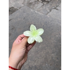 Kẹp Tóc Hoa Sứ 8cm Dành Cho Bạn Gái Thích Hợp Đễ Đi Biển Tặng Quà