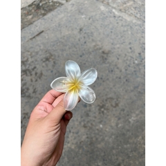Kẹp Tóc Hoa Sứ 8cm Dành Cho Bạn Gái Thích Hợp Đễ Đi Biển Tặng Quà