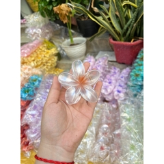 Kẹp Tóc Hoa Sứ 8cm Dành Cho Bạn Gái Thích Hợp Đễ Đi Biển Tặng Quà
