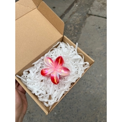 Kẹp Tóc Hoa Sứ 8cm Dành Cho Bạn Gái Thích Hợp Đễ Đi Biển Tặng Quà