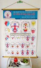 Tranh Canvas phản chiếu A0 | Canvas A0 reflex charts