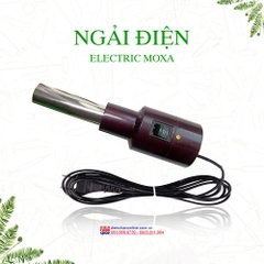 Ngải điện | Electric Moxa