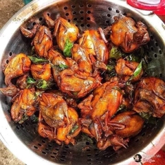 CHIM CÚT TẨM ƯỚP