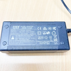 Chuyển nguồn Adapter 12V 4A DSS48-1204000 Chân cắm DC Size Molex 2 Pin