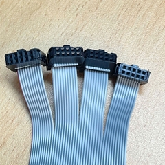 Cáp Kết Nối I/O PLC Cable IDC 40 Pin 2.54mm to Y Splitter 4 IDC Flat Ribbon 10 Pin Dài 0.5M