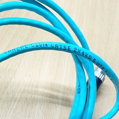 Cáp M12 D-Code 4 Pin Dương sang RJ45 8P8C Ethernet Dài 2M