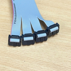 Cáp Kết Nối I/O PLC Cable IDC 40 Pin 2.54mm to Y Splitter 4 IDC Flat Ribbon 10 Pin Dài 0.5M