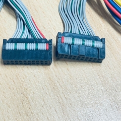 Cáp Hirose IDC 20 Pin Flat Ribbon Cable 20 Wire Dài 2M IDC Pitch 2.54mm Type A Cable Pitch 1.27mm + Molex 4 Pin Âm Dương For Terminal Block Module Hirose