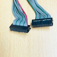 Cáp Điều Khiển Flat Ribbon Rainbow Cable IDC 40 Pin 2.54mm to Y Splitter 2 IDC Flat Ribbon 20 Pin Length 0.2M