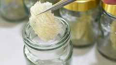 1 tai yến chưng bao nhiêu nước? Cách chưng 1 tai yến không bị mất chất