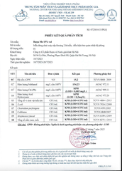 Rượu mơ Hà Nội 1898 HALICO nồng độ 15% chai 500ml không kèm hộp