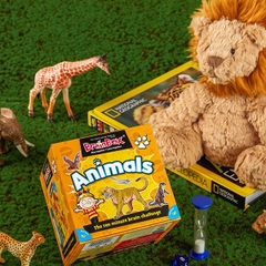 BRAINBOX ANIMALS