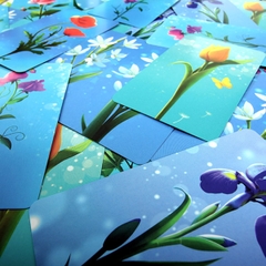 BLOSSOMS