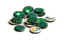 Evolution (Hàng mới về)