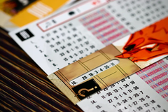 A Carnivore Did It! (Hàng mới về)