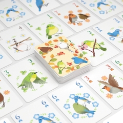 SongBirds- Game thẻ bài cực chill cho nhóm 4 người