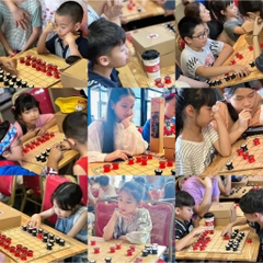CỜ MẶT TRỜI | Phiên Bản Trải Nghiệm | Board Game VN