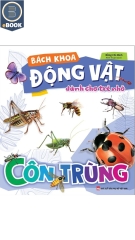 Bách Khoa Động Vật Dành Cho Trẻ Nhỏ - Côn Trùng