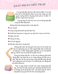 Cẩm Nang Con Gái - Violeta Basic