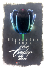 Hoa Tuylip Đen
