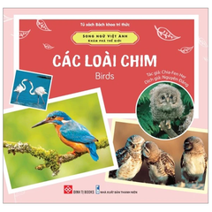 Song Ngữ Việt Anh - Khám Phá Thế Giới - Các Loài Chim - Birds