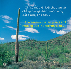 Song Ngữ Việt Anh - Khám Phá Thế Giới - Ở Vùng Đất Khô Cằn - In A Dry Land
