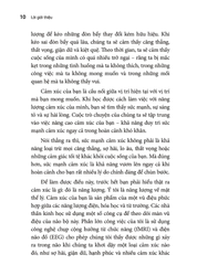 Enegy Rising - Năng Lượng Cảm Xúc