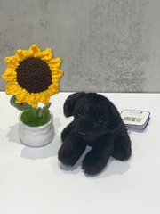 Thú nhồi bông - Chó Labrador đen 5" - Black Labrador 5" (DGV-05SK11)