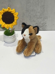 Thú Nhồi Bông Brown and Black Cat 5"