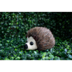 Thú Nhồi Bông Hedgehog 4"