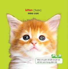 Chơi Mà Học  - Thế Giới Động Vật