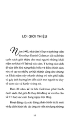 EQ - Trí Thông Minh Xúc Cảm Trong Công Việc - Justin Bariso